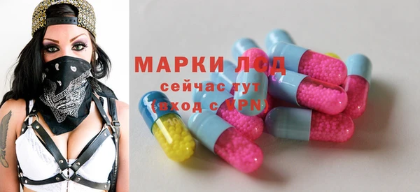 гидропоника Верея