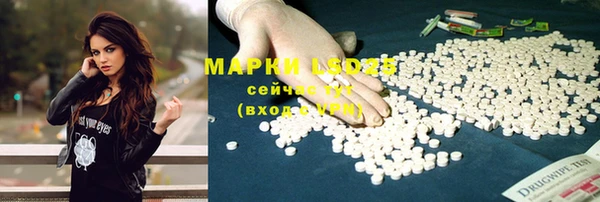 гидропоника Верея